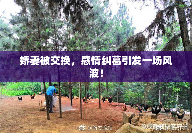 娇妻被交换，感情纠葛引发一场风波！
