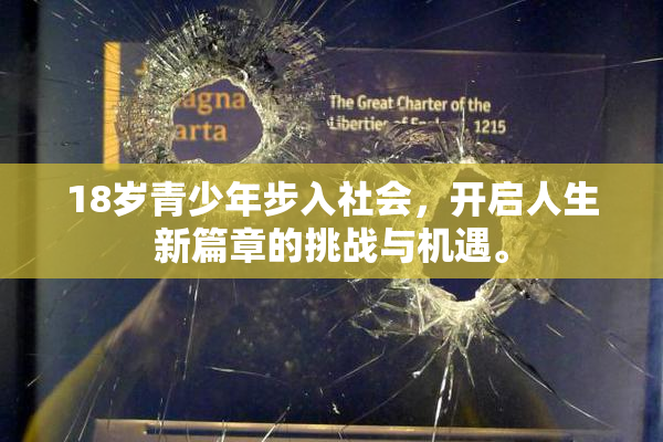 18岁青少年步入社会，开启人生新篇章的挑战与机遇。