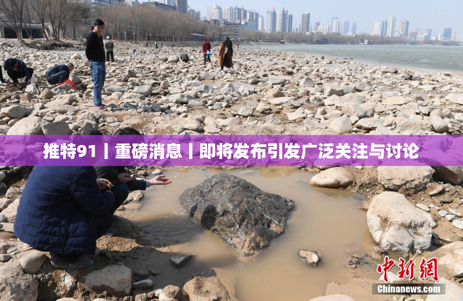 推特91丨重磅消息丨即将发布引发广泛关注与讨论