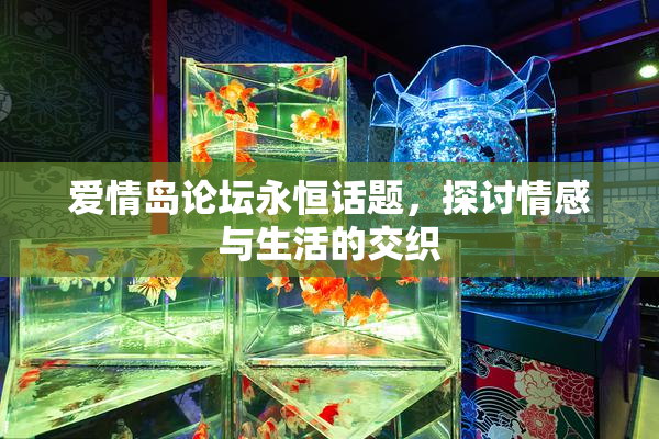 爱情岛论坛永恒话题，探讨情感与生活的交织
