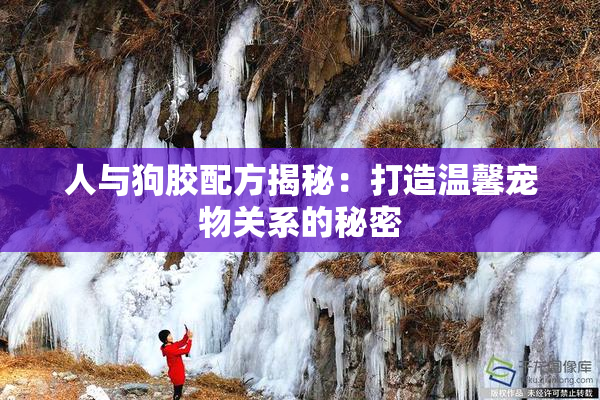 人与狗胶配方揭秘：打造温馨宠物关系的秘密