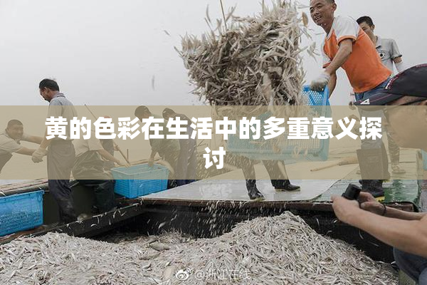 黄的色彩在生活中的多重意义探讨