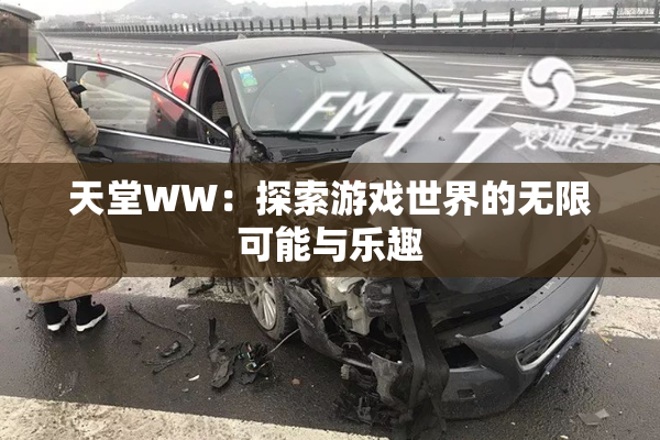 天堂WW：探索游戏世界的无限可能与乐趣