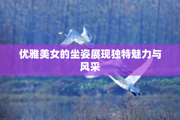 优雅美女的坐姿展现独特魅力与风采