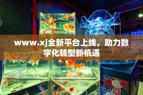www.xj全新平台上线，助力数字化转型新机遇