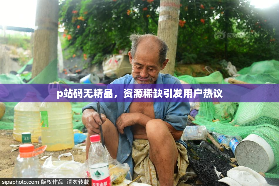 p站码无精品，资源稀缺引发用户热议