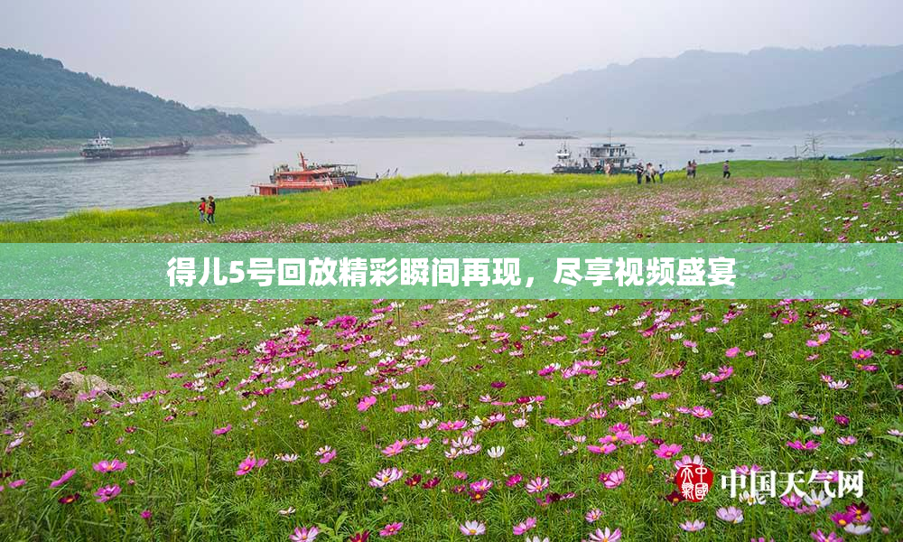 得儿5号回放精彩瞬间再现，尽享视频盛宴