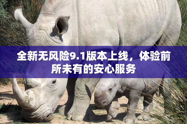 全新无风险9.1版本上线，体验前所未有的安心服务