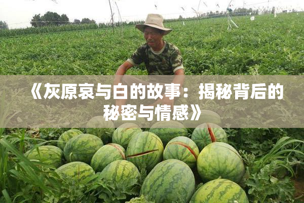 《灰原哀与白的故事：揭秘背后的秘密与情感》