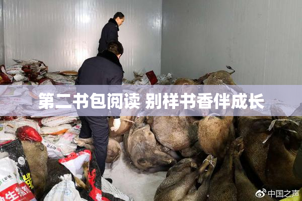 第二书包阅读 别样书香伴成长