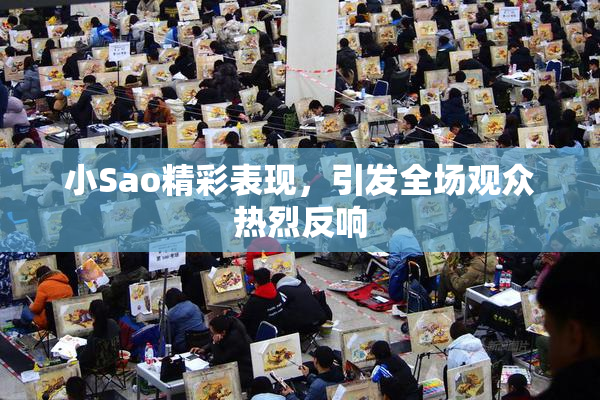 小Sao精彩表现，引发全场观众热烈反响