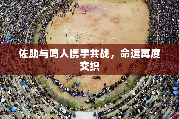 佐助与鸣人携手共战，命运再度交织