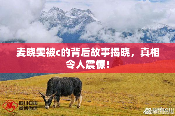 麦晓雯被c的背后故事揭晓，真相令人震惊！