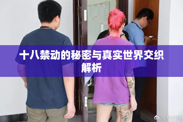 十八禁动的秘密与真实世界交织解析