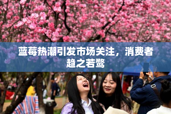 蓝莓热潮引发市场关注，消费者趋之若鹜