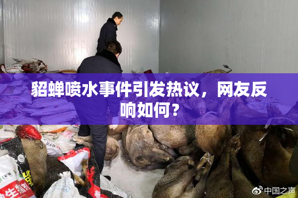 貂蝉喷水事件引发热议，网友反响如何？