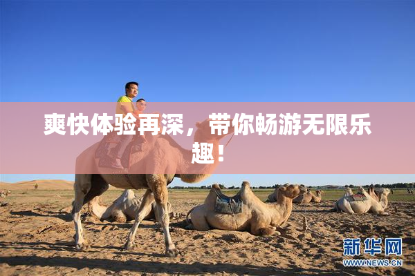 爽快体验再深，带你畅游无限乐趣！