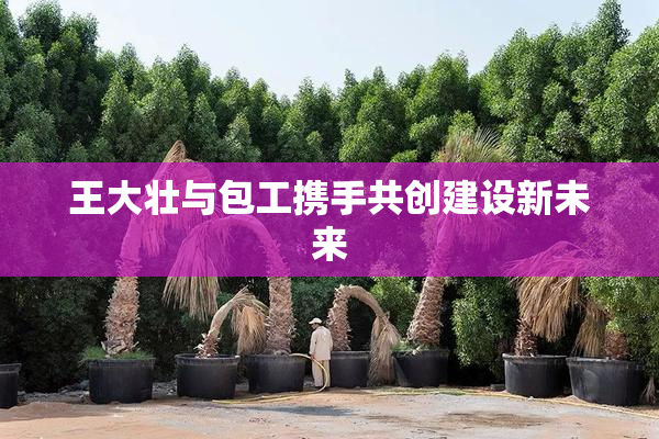 王大壮与包工携手共创建设新未来