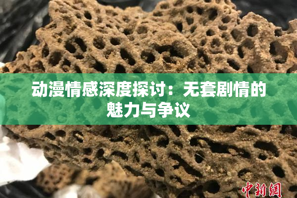 动漫情感深度探讨：无套剧情的魅力与争议