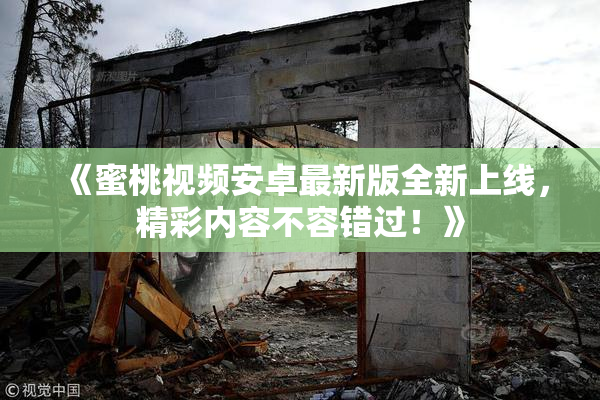《蜜桃视频安卓最新版全新上线，精彩内容不容错过！》