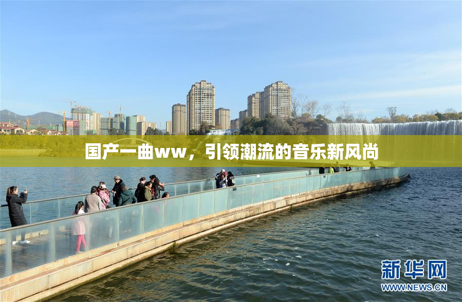 国产一曲ww，引领潮流的音乐新风尚
