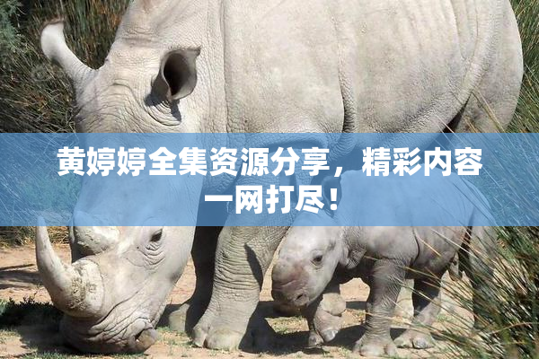 黄婷婷全集资源分享，精彩内容一网打尽！