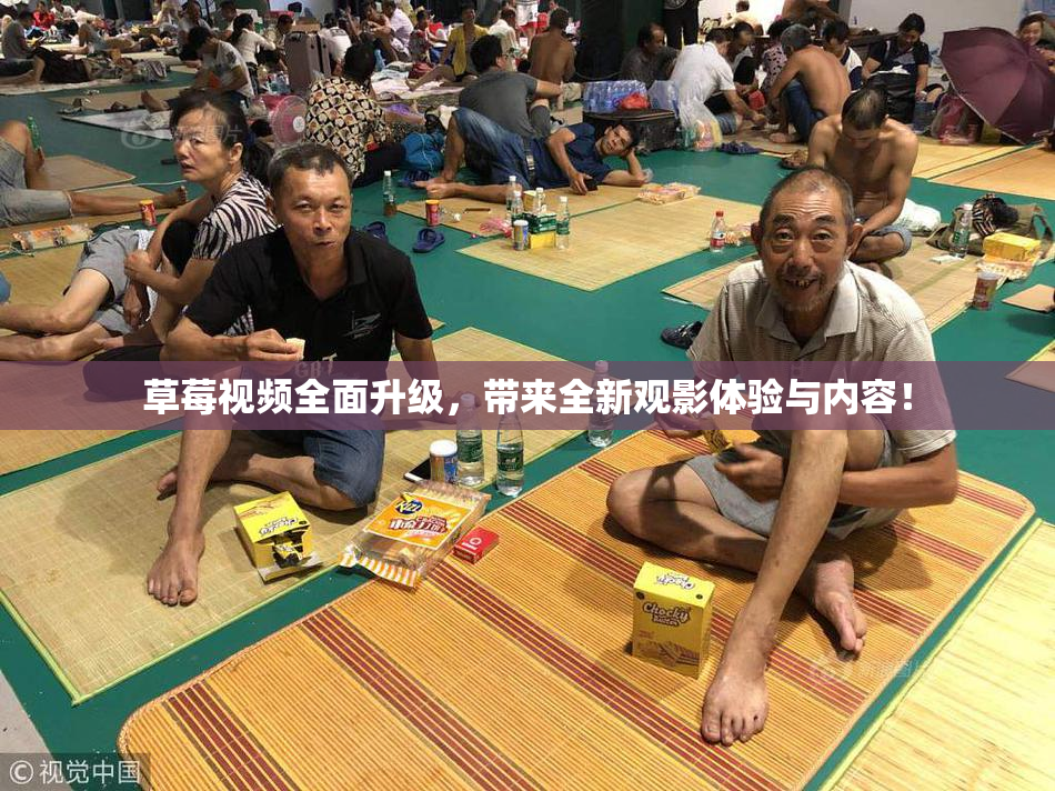 草莓视频全面升级，带来全新观影体验与内容！