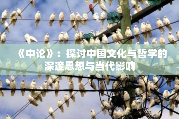 《中论》：探讨中国文化与哲学的深邃思想与当代影响