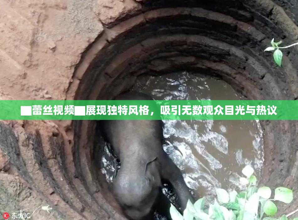 ▇蕾丝视频▇展现独特风格，吸引无数观众目光与热议