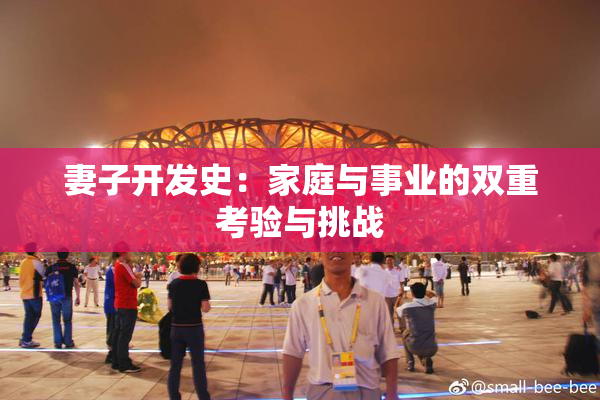 妻子开发史：家庭与事业的双重考验与挑战