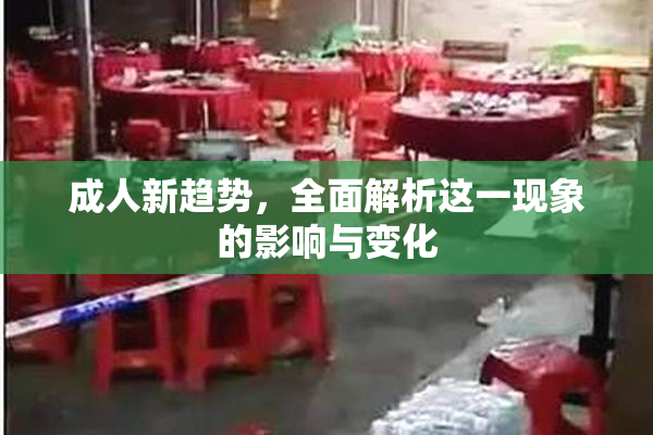 成人新趋势，全面解析这一现象的影响与变化
