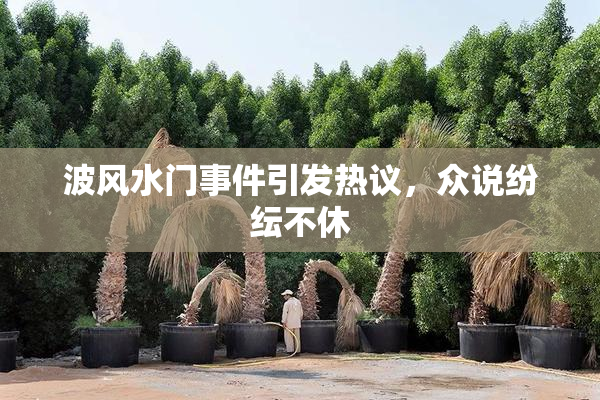 波风水门事件引发热议，众说纷纭不休