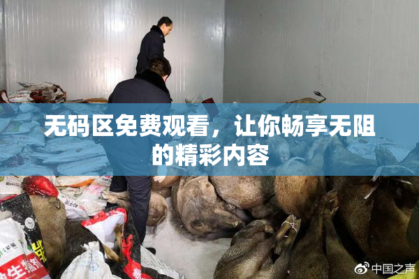 无码区免费观看，让你畅享无阻的精彩内容