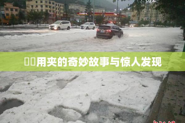 妺妺用夹的奇妙故事与惊人发现