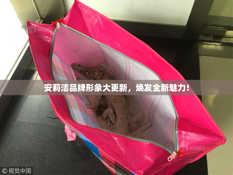 安莉洁品牌形象大更新，焕发全新魅力！