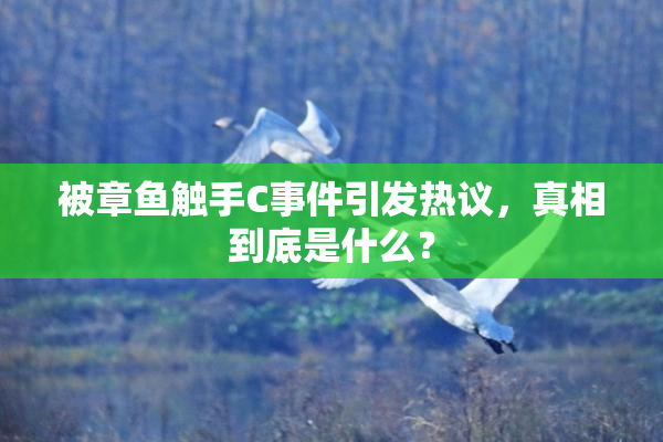 被章鱼触手C事件引发热议，真相到底是什么？