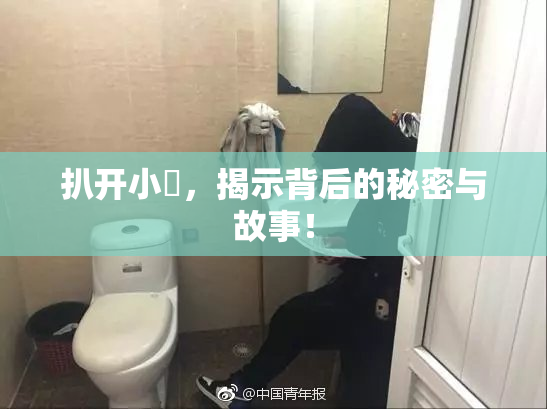 扒开小泬，揭示背后的秘密与故事！