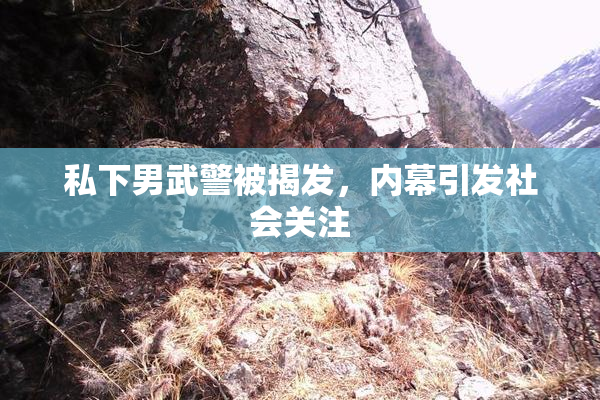 私下男武警被揭发，内幕引发社会关注
