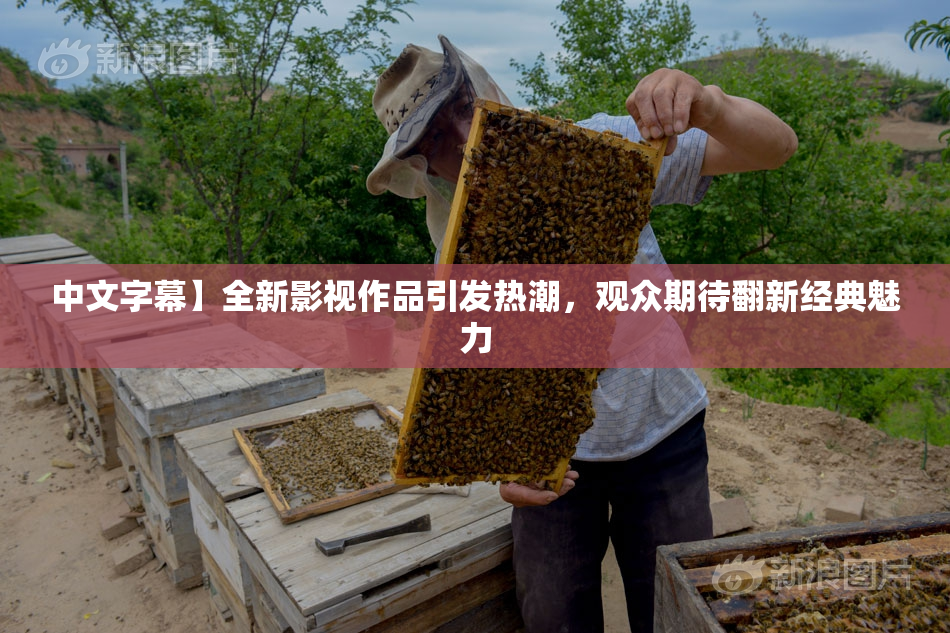 中文字幕】全新影视作品引发热潮，观众期待翻新经典魅力