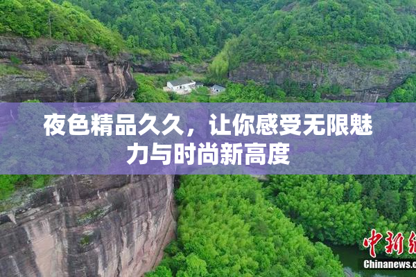 夜色精品久久，让你感受无限魅力与时尚新高度