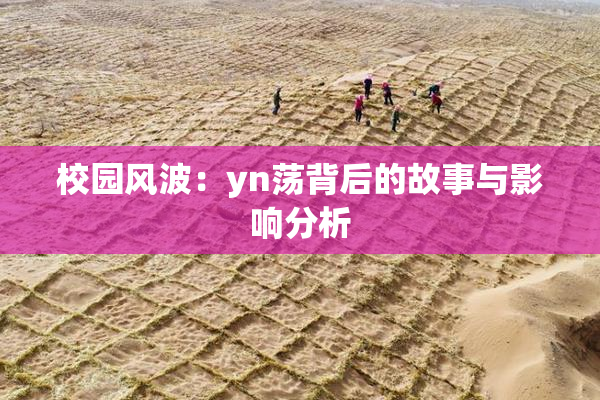 校园风波：yn荡背后的故事与影响分析