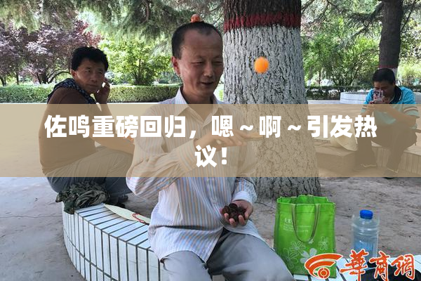 佐鸣重磅回归，嗯～啊～引发热议！