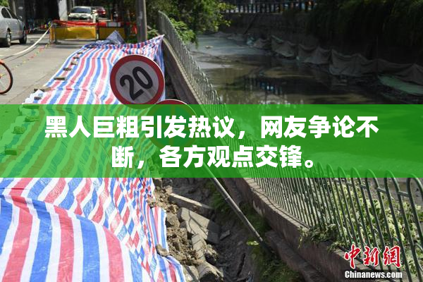 黑人巨粗引发热议，网友争论不断，各方观点交锋。