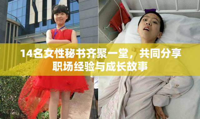 14名女性秘书齐聚一堂，共同分享职场经验与成长故事