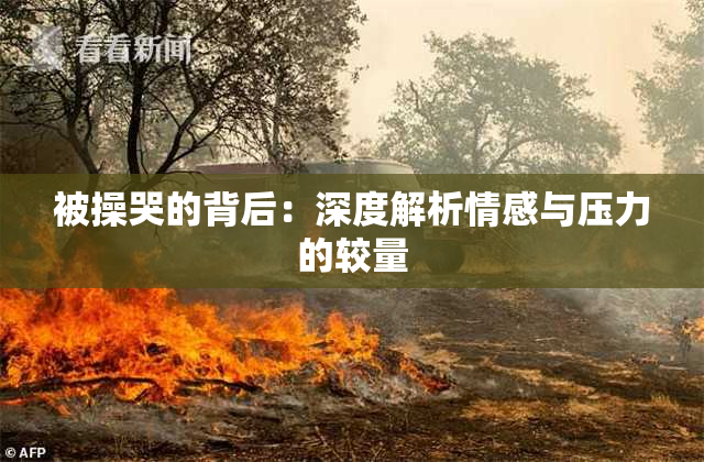 被操哭的背后：深度解析情感与压力的较量