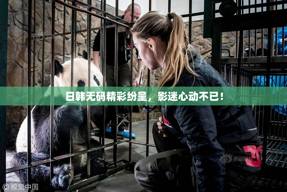 日韩无码精彩纷呈，影迷心动不已！