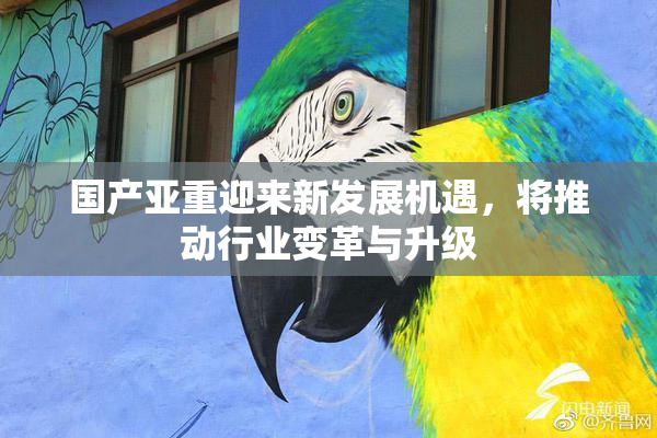 国产亚重迎来新发展机遇，将推动行业变革与升级