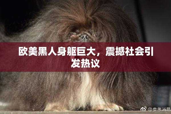 欧美黑人身躯巨大，震撼社会引发热议
