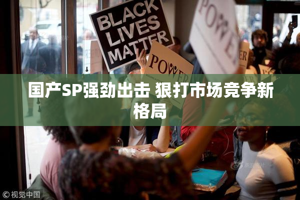 国产SP强劲出击 狠打市场竞争新格局