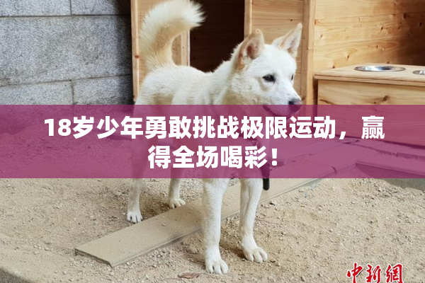 18岁少年勇敢挑战极限运动，赢得全场喝彩！